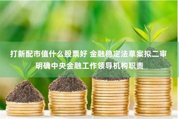 打新配市值什么股票好 金融稳定法草案拟二审 明确中央金融工作领导机构职责