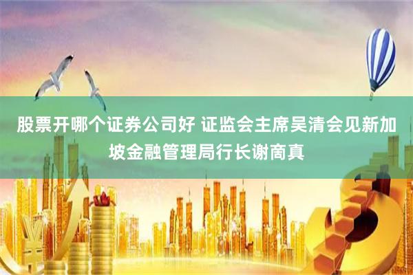 股票开哪个证券公司好 证监会主席吴清会见新加坡金融管理局行长谢啇真