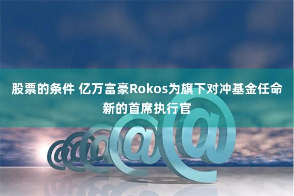 股票的条件 亿万富豪Rokos为旗下对冲基金任命新的首席执行官