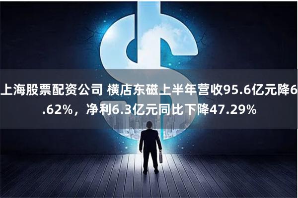 上海股票配资公司 横店东磁上半年营收95.6亿元降6.62%，净利6.3亿元同比下降47.29%