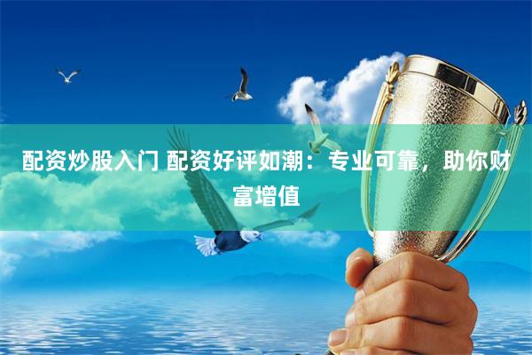 配资炒股入门 配资好评如潮：专业可靠，助你财富增值