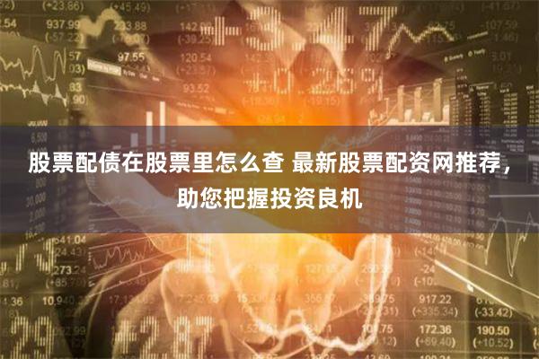 股票配债在股票里怎么查 最新股票配资网推荐，助您把握投资良机